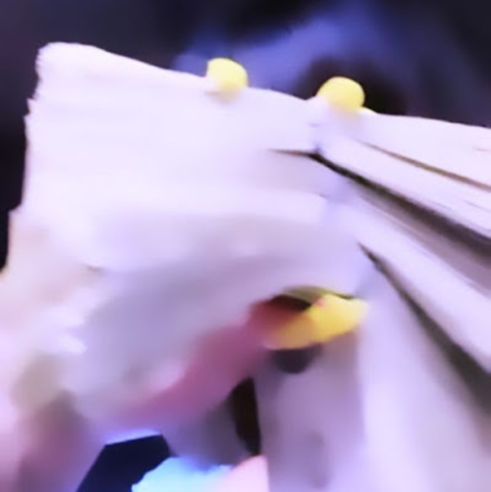 Meet your Posher, Dabrat